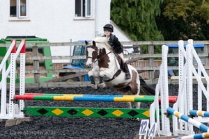 Class 3 -  Fences not above 2'3